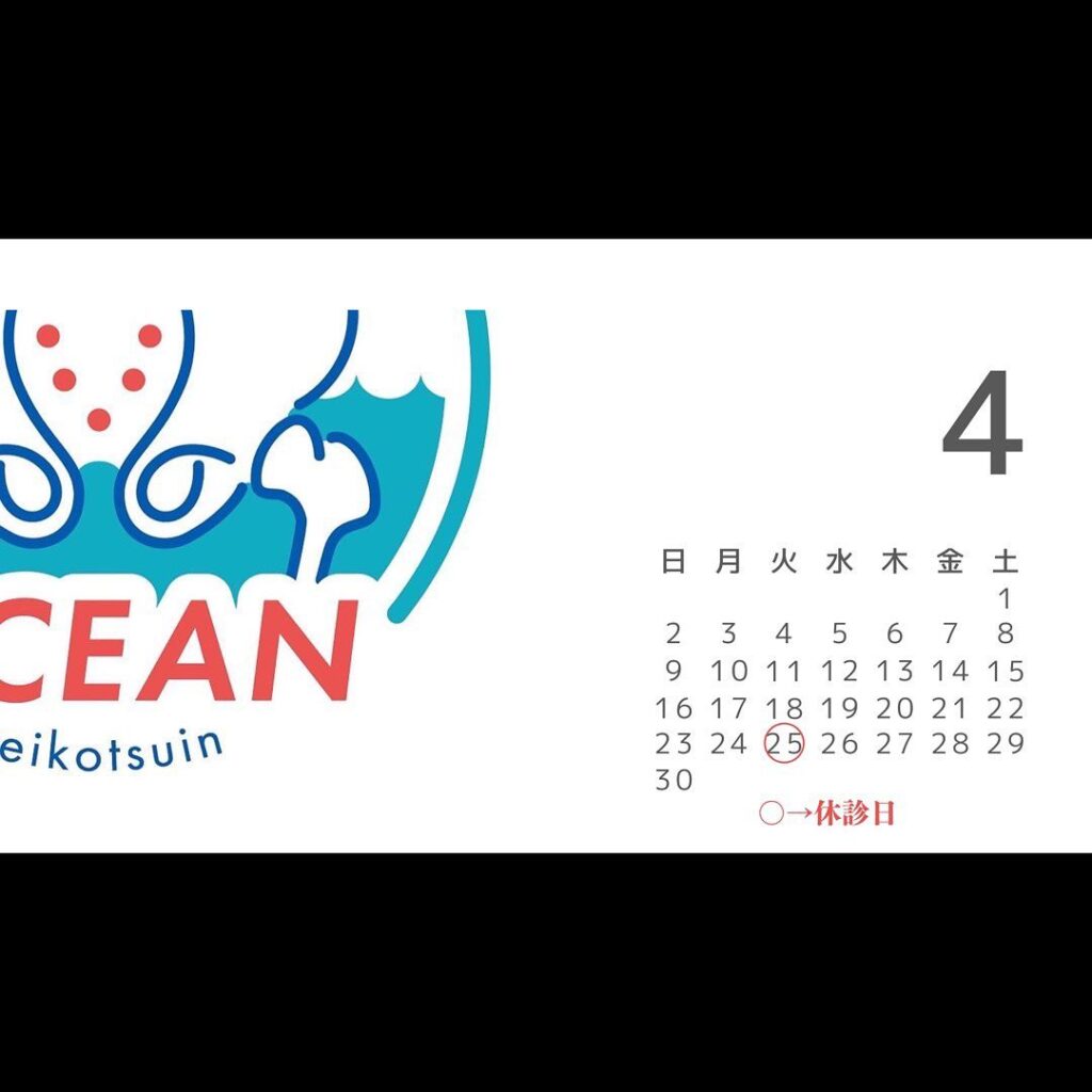 こんにちは！OCEAN整骨院です4月の診療日です🗓4月29日が祝日ですが、診療致します振替で4月25日にお休みをいただきますのでお間違えのないようにご予約・ご来院ください‍♂️4月は1日のみの休みですが、元気いっぱいで診療致します！🫡4月も徐々に埋まってきておりますので、お早めのご連絡お待ちしております下記の時間を新規の方限定の時間帯にさせていただきます‍♀️①平日正午12:00~1名②平日午後18:00〜1名③土曜正午12:00〜1名④日曜正午12:00〜1名気になる方は、①インスタDMで予約②インスタ予約欄から予約③公式LINE④電話で予約️LINEに関しましては、インスタプロフィールよりハイライトにてLINEのQRコードがありますご連絡お待ちしております！𓂃𓂂𓋪𓂃𓂂𓂃𓋪𓃉𓂃ํ𓂃𓂂𓂃𓋪𓂃ํ𓂃𓂂𓂃𓂂𓋪𓂃𓃉ํ𓂃𓋪𓂂𓂃ํ𓂂𓂃𓃉𓋪❏ OCEAN整骨院︎ 鹿児島県薩摩川内市五代町1857-3︎ 営業時間: 月〜金 9時〜21時　　　　　　　　土 9時〜18時　　　　　　　　日 9時〜13時︎鹿児島で姿勢矯正・産後矯正ならOCEAN整骨院︎デスクワーク・産後矯正専門